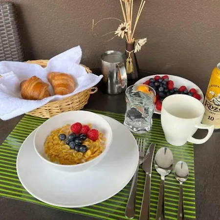 Luxury In And Free Parking Apartman Prága